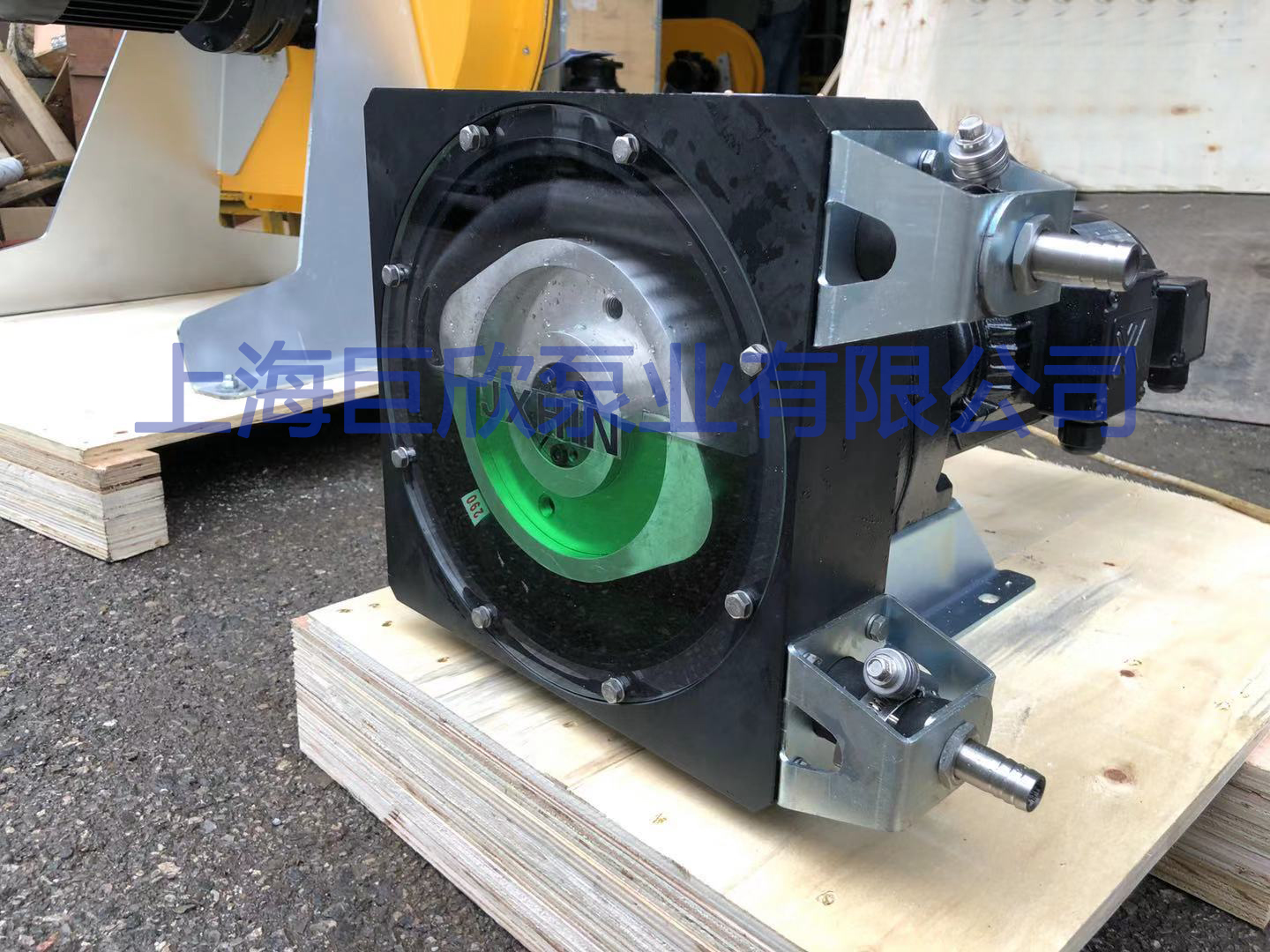 1583284103829286.jpg 23.jpg