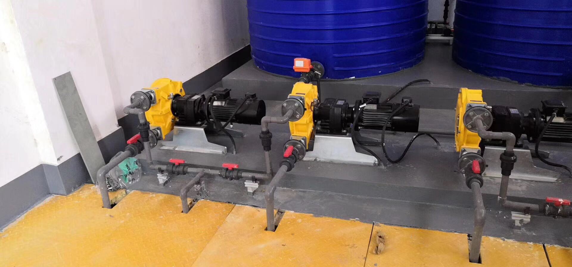 1583481753935283.jpg 25.jpg