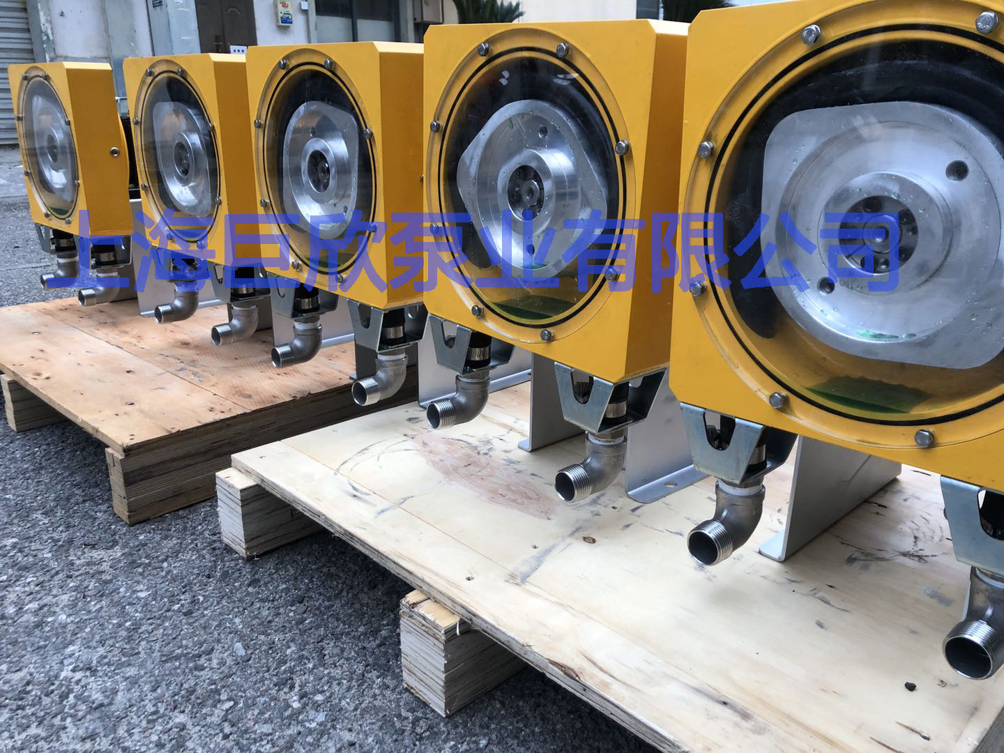 1585393868899822.jpg 巨欣20軟管泵.jpg