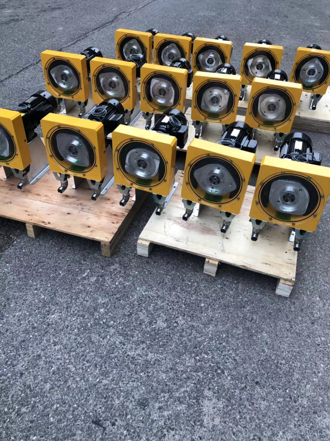 1639187546899790.jpg 7039abed298044497fa73248f3a78ff.jpg